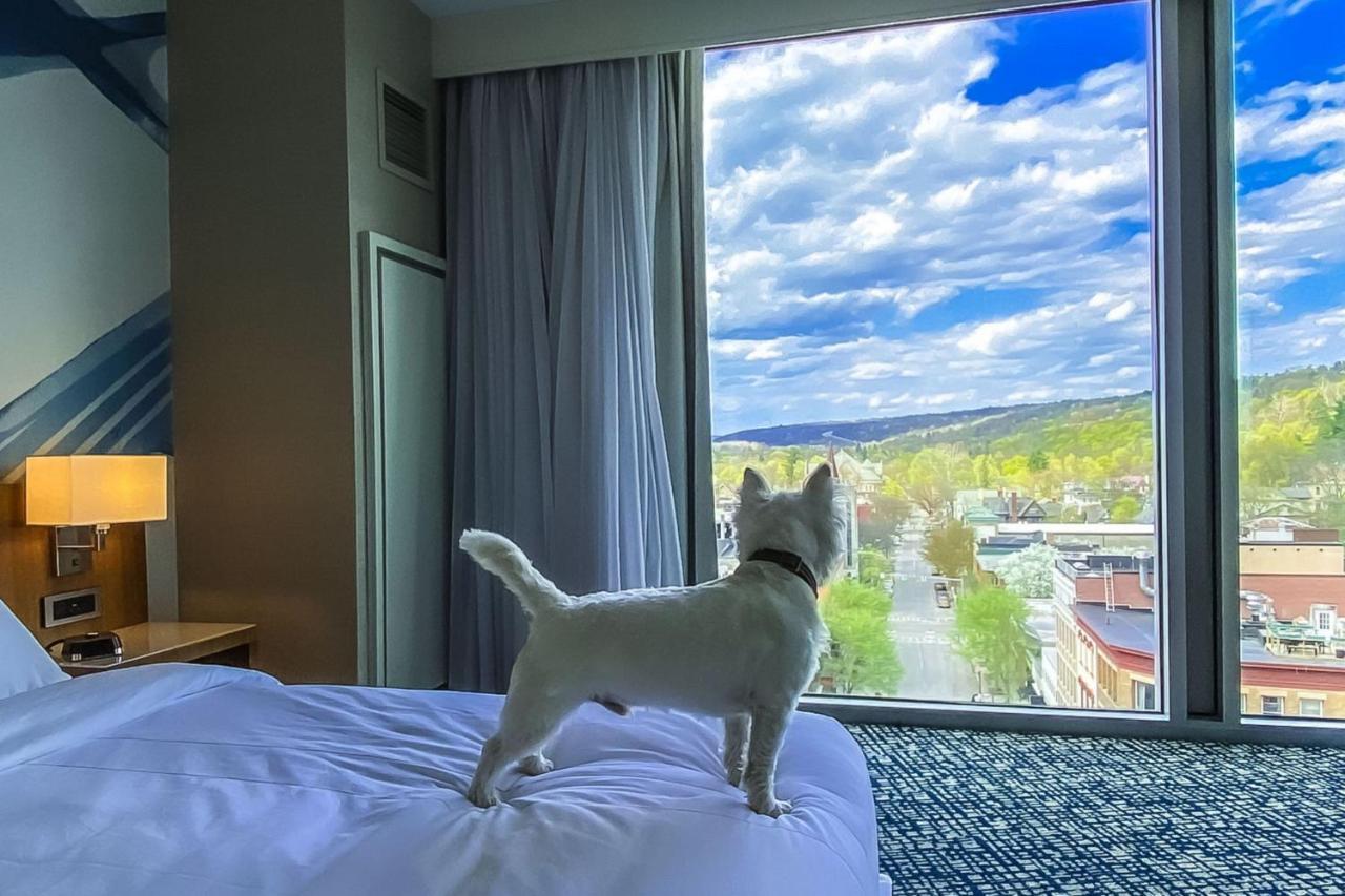 Ithaca Marriott Downtown On The Commons Otel Dış mekan fotoğraf